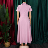 Women Pleated A Line Short Sleeves Dresses