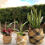 New Rattan Seagrass Plant Flower Pots