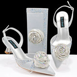 New Women Shoes and Bag Set