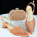 Italian Design Fashion Style Ladies Shoes with Matching Bag Set