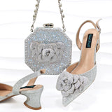 Flower Design Party Wedding Women Shoes and Bag