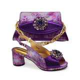 New Women Shoes and Bag Set