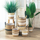 New Fancy Wicker Planter Basket