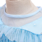 New Sequin Elsa Princess Dress