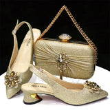 Women's Wedding and Party Luxury Ladies Shoes and Bag