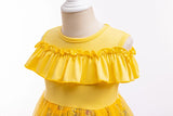 12M-6 Year Birthday Tutu Dress