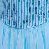 New Sequin Elsa Princess Dress