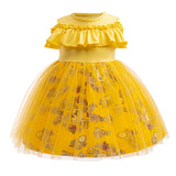 12M-6 Year Birthday Tutu Dress