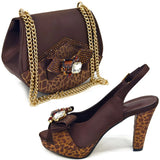 New come Matching Women Shoe and Bag Set