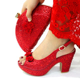 Christmas party shoes and Bags Matching Set