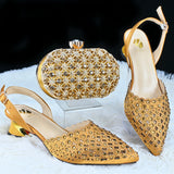 Italian Design Fashion Style Ladies Shoes with Matching Bag Set