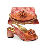 New Women Shoes and Bag Set