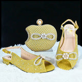 New Style Retro with Stiletto Pointed Shoes and Bag Set