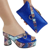 Italian Designers Luxury Elegant Clutch Bag and Shoes