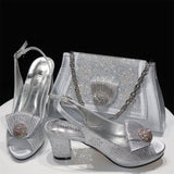 New Women Shoes and Bag Set