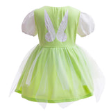 12M-6 Year Birthday Tutu Dress