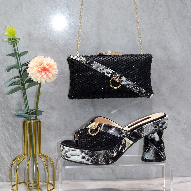 Italian Designers Luxury Elegant Clutch Bag and Shoes