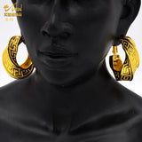 New Fashion Chunky Hoop Earrings